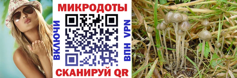 Галлюциногенные грибы ЛСД  Купить закладки  Макаров 